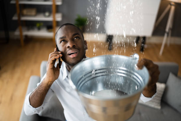 Best Flood restoration services  in Pierson, FL