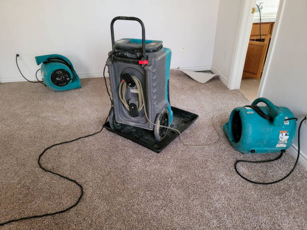 Reliable Pierson, FL Water damage restoration Solutions