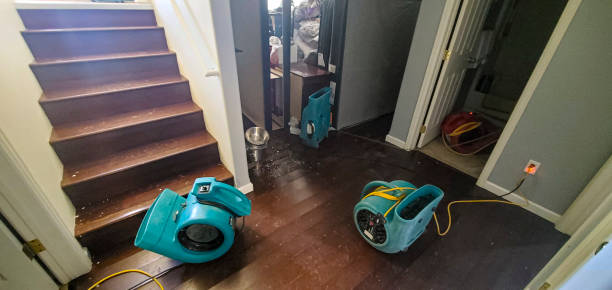 Fire Damage Restoration in Pierson, FL