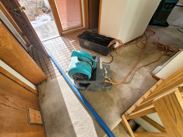 Best Sewage cleanup and water damage restoration  in Pierson, FL