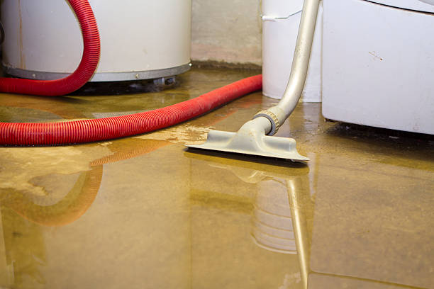 Best Water damage cleanup near me  in Pierson, FL